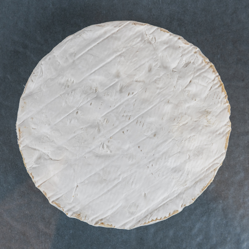 Cornish brie